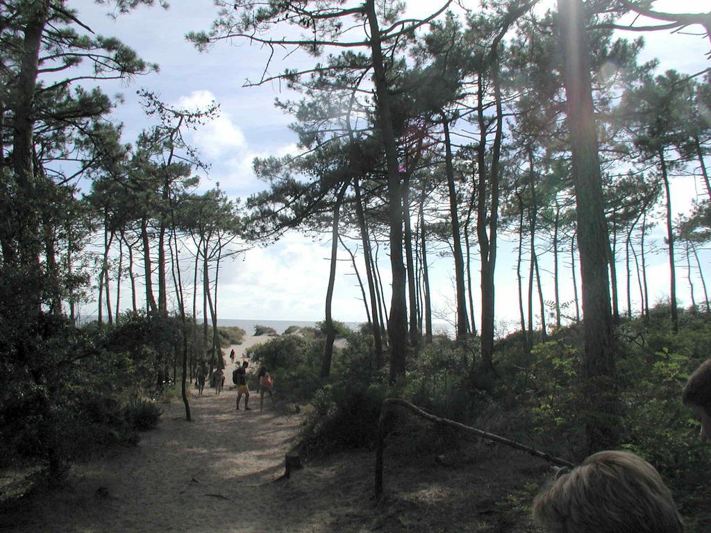 Studio Dunes Aux Ecureuils แซ็งต์-ปาเลส์-ซูร์-แมร์ ภายนอก รูปภาพ